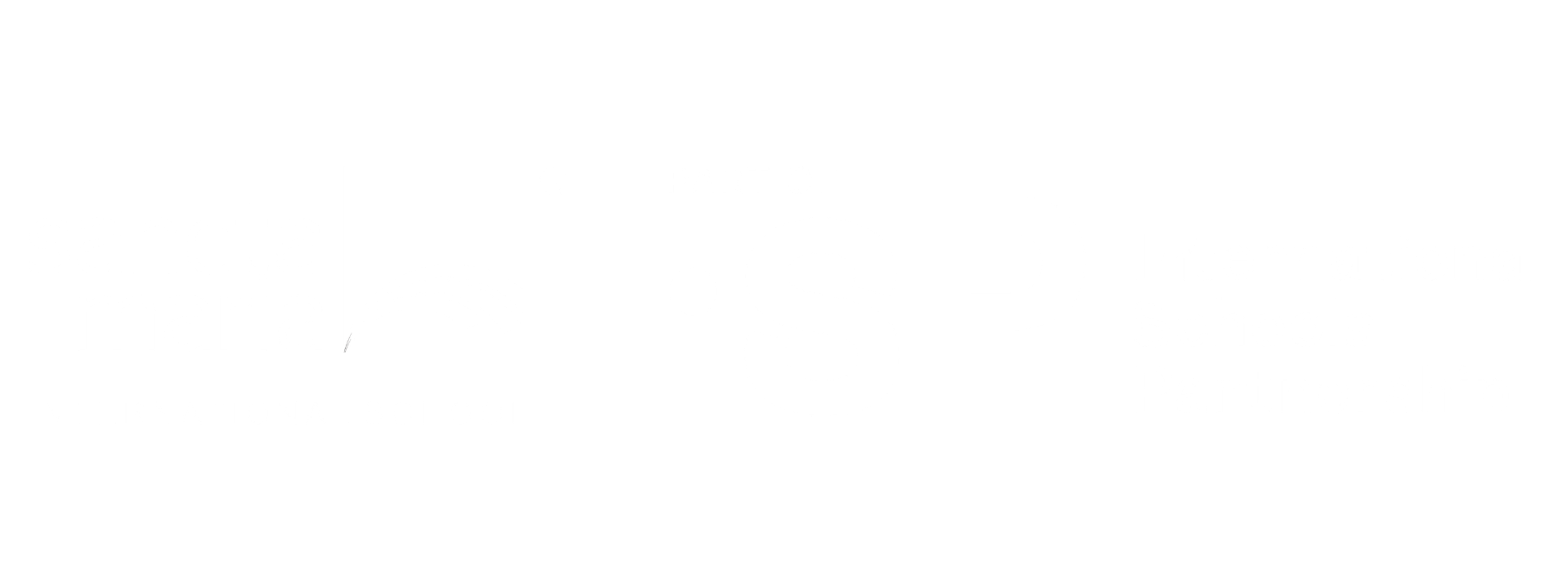 SMIS LOGO